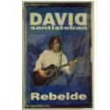 CASSETTE DAVID SANTISTEBAN - REBELDE