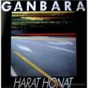 CASSETTE GANBARA - GANBARA