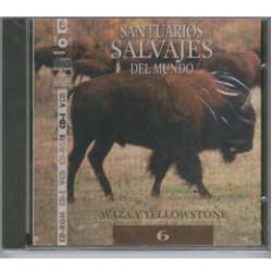 VIDEO CD WAZA Y YELLOWSTONE