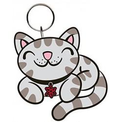 LLavero The Biog Bang Theory -Keyring