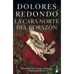La cara norte del corazón, Dolores Redondo, Novela negra