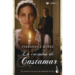 La cocinera de Castamar,Fernando J. Múñez, Novela contemporánea